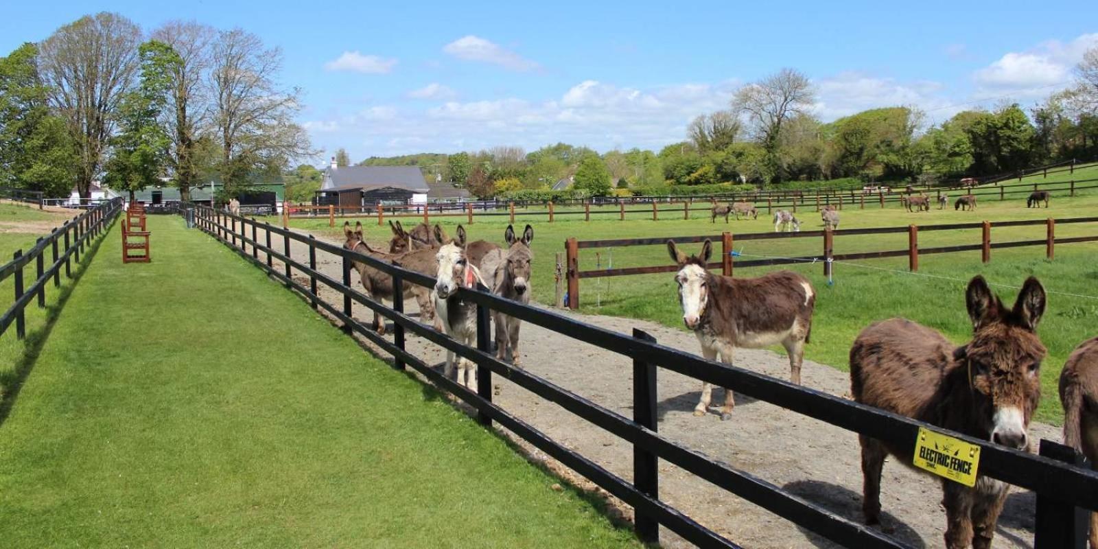Charleville Park Hotel & Leisure Club Ireland Dış mekan fotoğraf